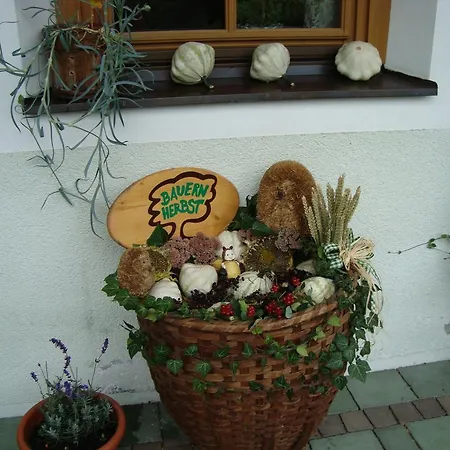 Apartment Vorderstrasshof